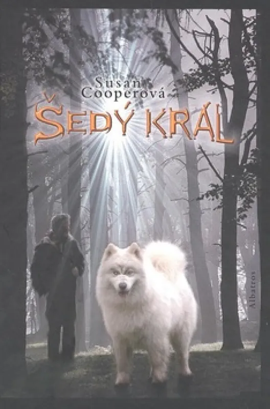 Top Prodej Šedý král Probuzení ze tmy 3