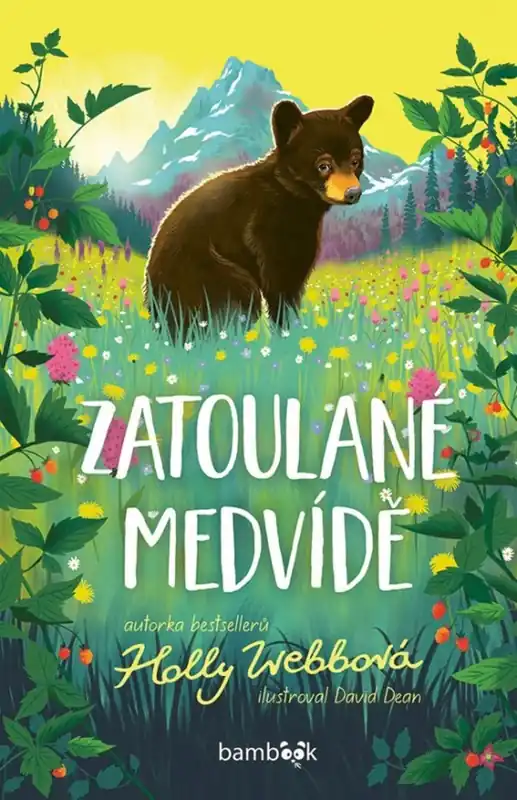 Zatoulané medvídě Výprodej